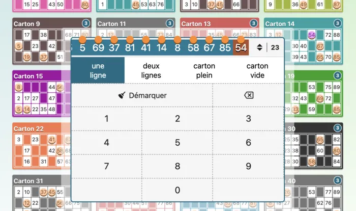Interface de saisie rapide pour marquer les numéros tirés au loto
