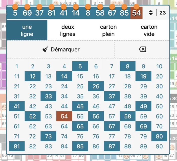 Vue matrice complète 1-90 pour joueurs avancés de loto