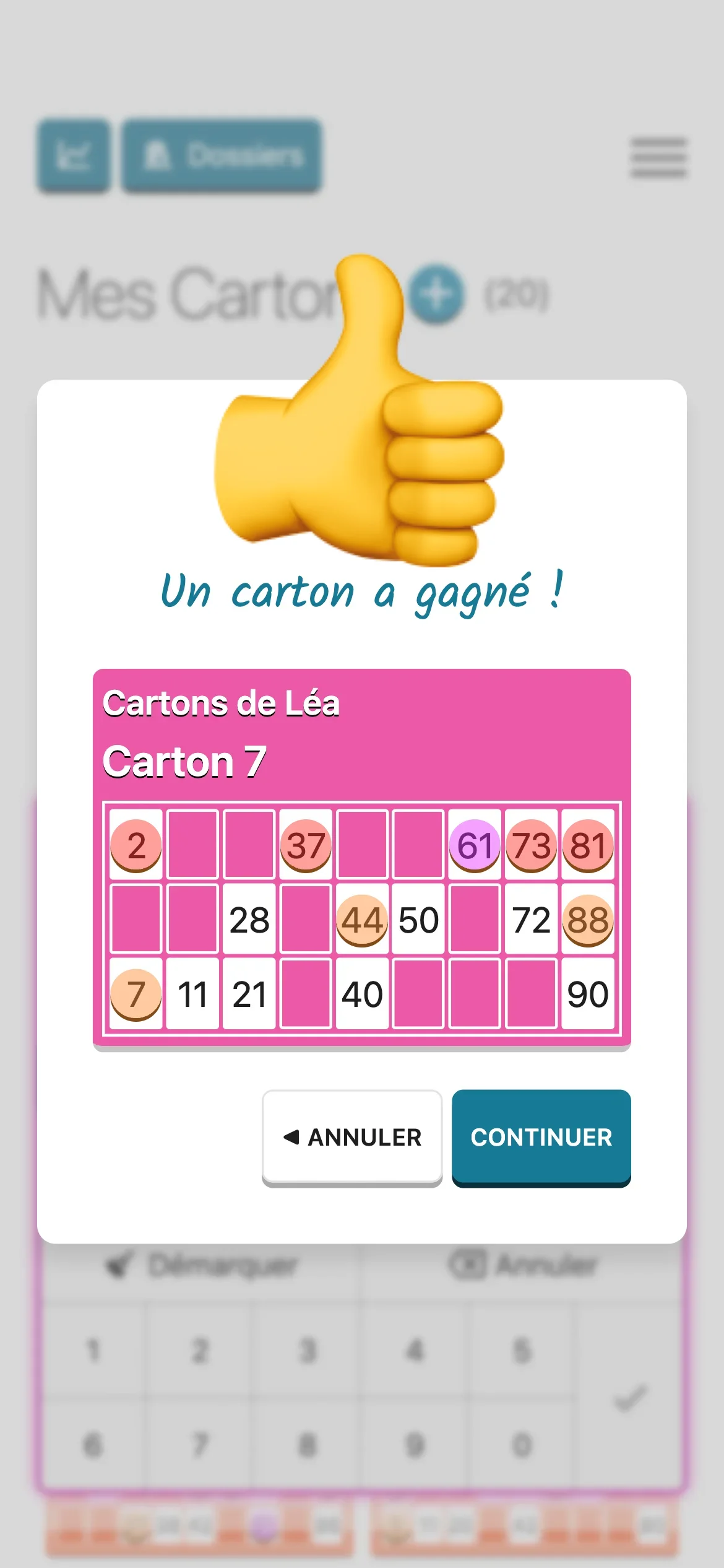 Écran de victoire montrant un carton gagnant dans l'application Loto Quine